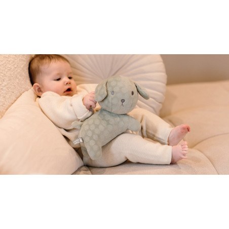 Λούτρινο Σκυλάκι Από Βελουτέ Ύφασμα 25cm Πράσινο Miffy Flowers