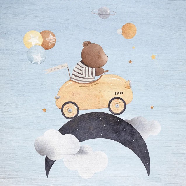 Driving Bear ξύλινο κάδρο (21221)