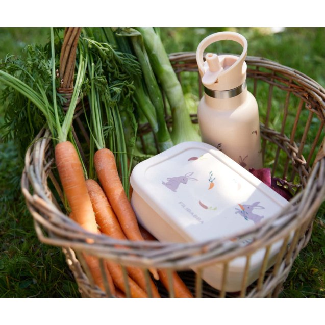 Δοχείο Φαγητού Σιλικόνης Με Χωρίσματα Filibabba...