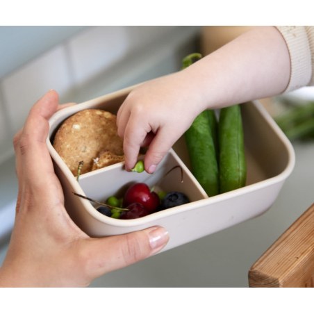 Δοχείο Φαγητού Σιλικόνης Με Χωρίσματα Filibabba Toasted Almond 700ml