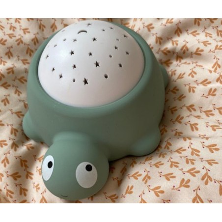 Προτζεκτορας Led Filibabba Turtle Star