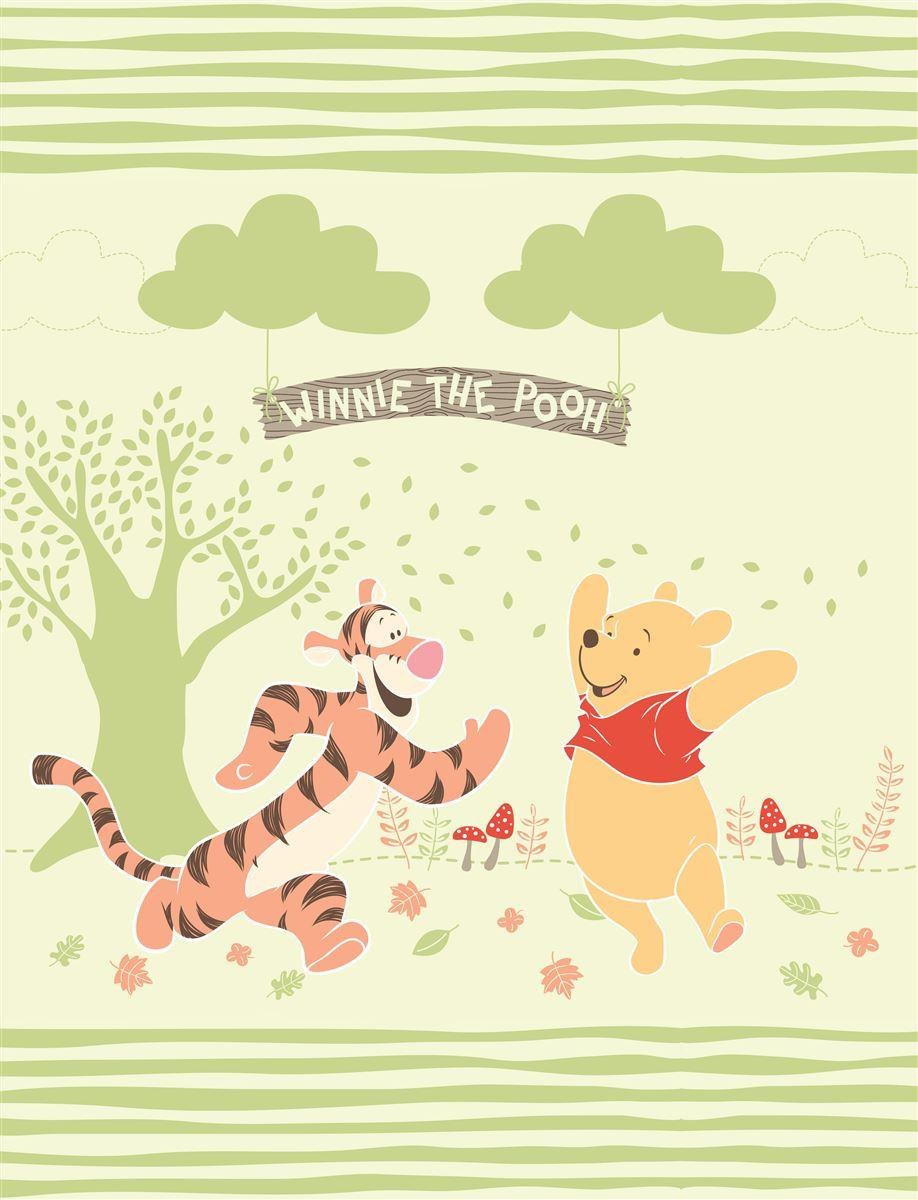 Κουβέρτα Βελουτέ Κούνιας Disney Dimcol Digital Print Winnie 02 110x140