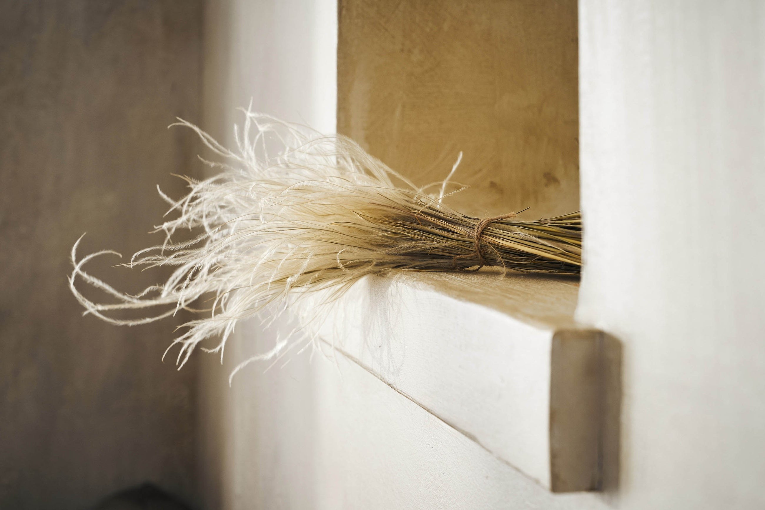 Αποξηραμένα Άνθη Gofis Home Destiny 20-11-112 Ύψος : 45, 30γρ.