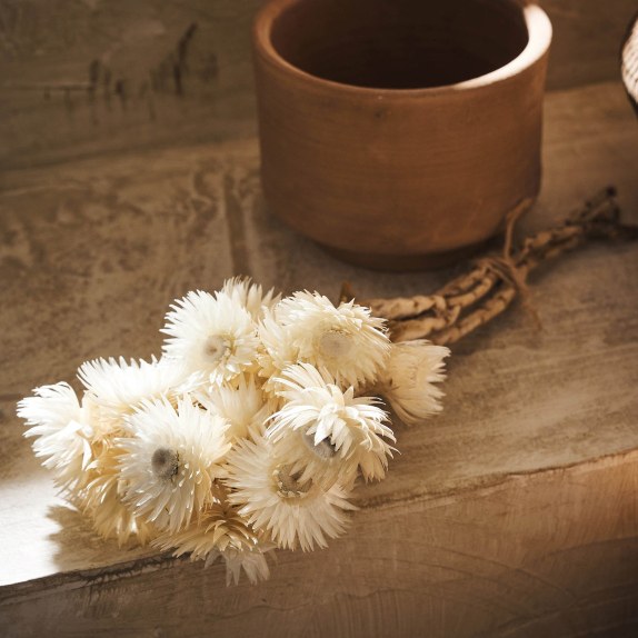 Αποξηραμένα Άνθη Gofis Home Fouzia 20-11-114 Ύψος : 30,...