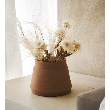 Αποξηραμένα Άνθη Gofis Home Fouzia 20-11-114 Ύψος : 30, 15γρ.