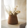 Αποξηραμένα Άνθη Gofis Home Fouzia 20-11-114 Ύψος : 30, 15γρ.