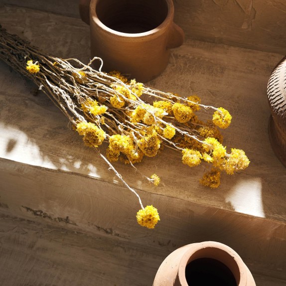 Αποξηραμένα Άνθη Gofis Home Merrily 20-11-120 Ύψος : 45, 40γρ.