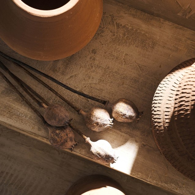 Αποξηραμένα Άνθη Gofis Home Papaver 20-11-124...