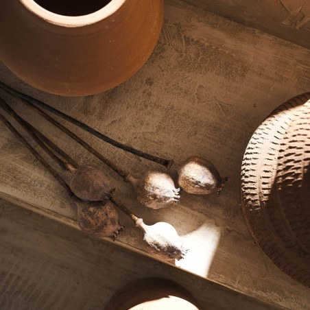 Αποξηραμένα Άνθη Gofis Home Papaver 20-11-124 Ύψος : 55, 30γρ.