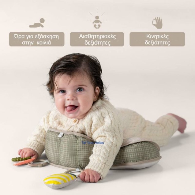 Μαξιλάρι Δραστηριοτήτων Taf Toys Panda tummy...
