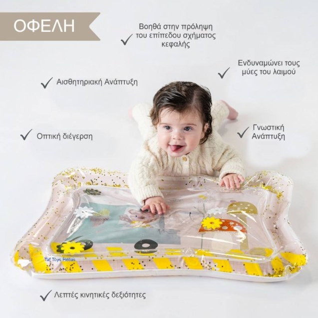Χαλάκι Δραστηριοτήτων Taf Toys Ice cream Bear...
