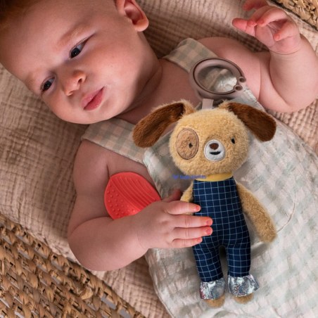Κρεμαστό Σκυλάκι Με Μασητικό Taf Toys Daniel Activity toy Τ-13535