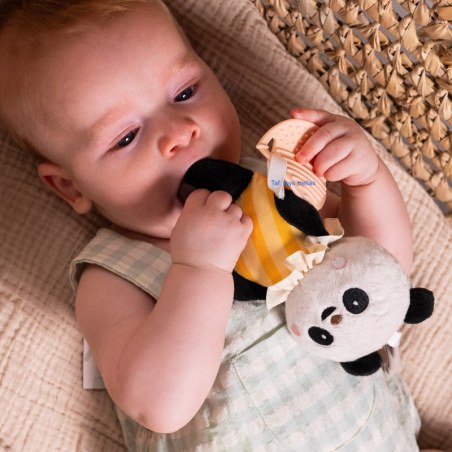 Λούτρινο παιχνίδι Taf Toys Pamela Activity toy T-13565