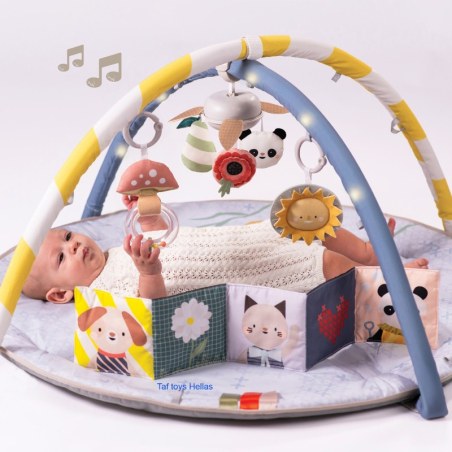 Γυμναστήριο Δραστηριοτήτων Taf Toys Melody Bloom Gym T-13495