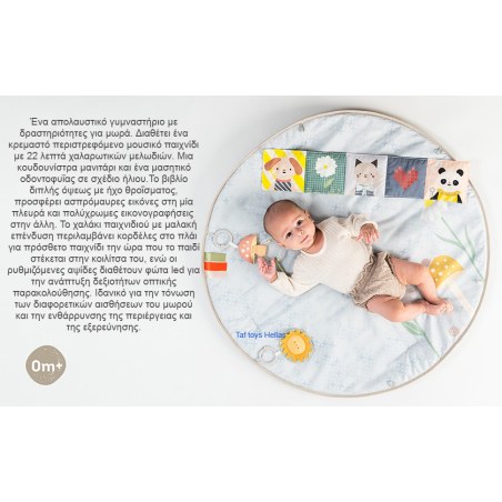 Γυμναστήριο Δραστηριοτήτων Taf Toys Melody Bloom Gym T-13495