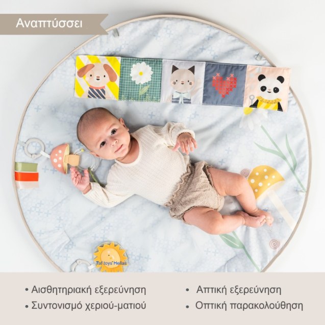 Γυμναστήριο Δραστηριοτήτων Taf Toys Melody...