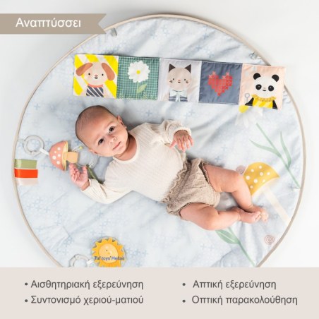 Γυμναστήριο Δραστηριοτήτων Taf Toys Melody Bloom Gym T-13495