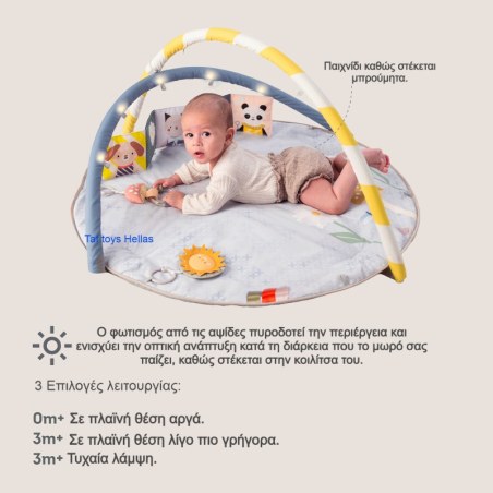 Γυμναστήριο Δραστηριοτήτων Taf Toys Melody Bloom Gym T-13495
