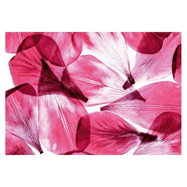 0051Fts Στοκ Π.Χ Φωτοταπετσαρια D(Standard) A&G...