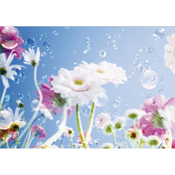 0084Ft Στοκ Π.Χ Φωτοταπετσαρια D(Standard) A&G 360*254...