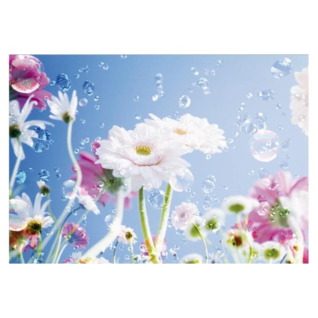 0084Ft Στοκ Π.Χ Φωτοταπετσαρια D(Standard) A&G...