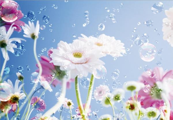 0084Ft Στοκ Π.Χ Φωτοταπετσαρια D(Standard) A&G 360*254 Newplan