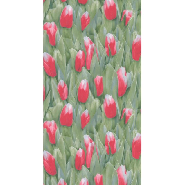 Ταπετσαρια Reality Στοκ Π.Χ 51124610 Newplan