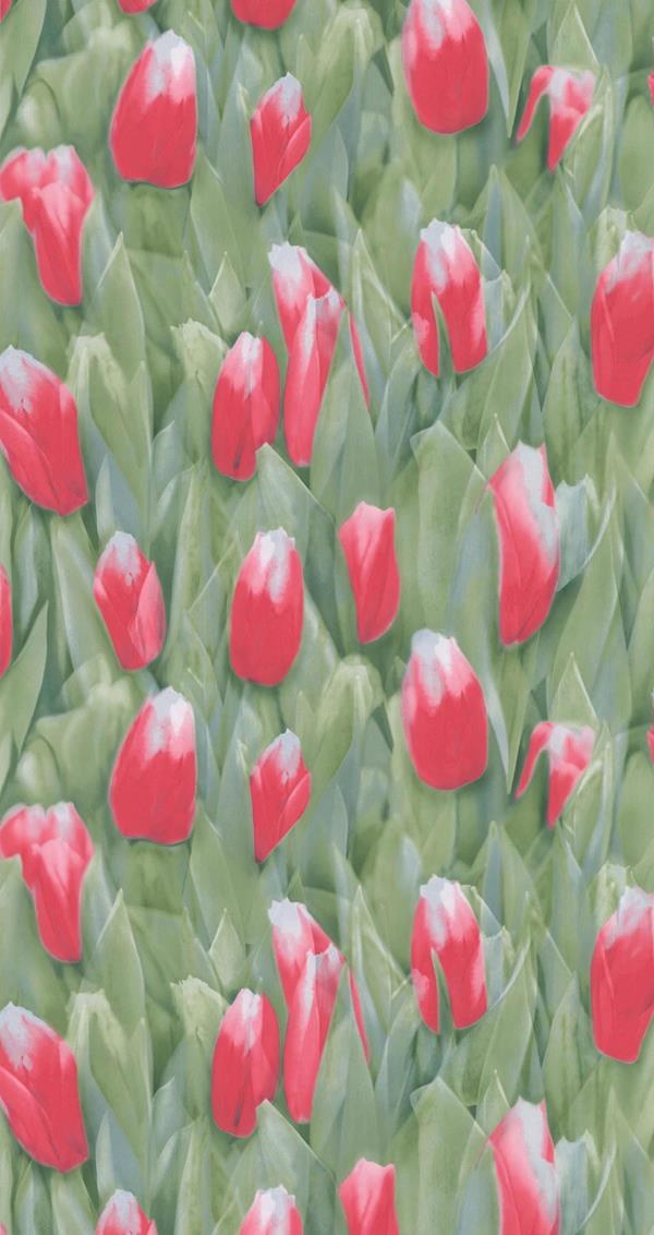 Ταπετσαρια Reality Στοκ Π.Χ 51124610 Newplan