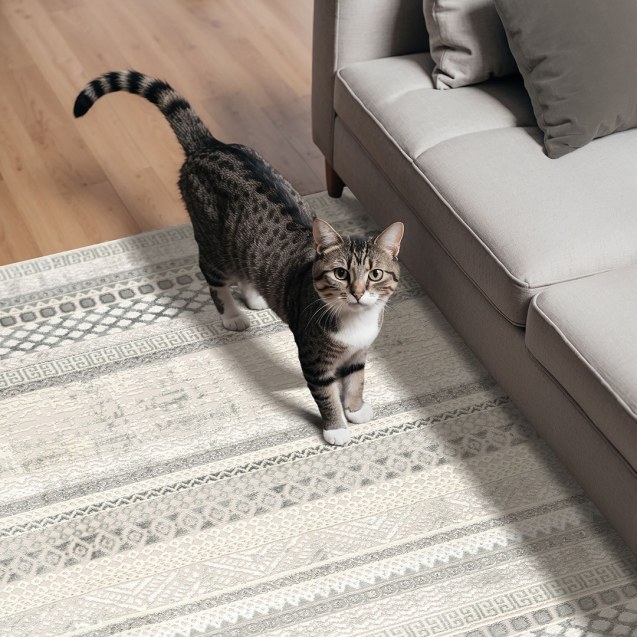 Μοκετα Υφαντη Jade 1980 Newplan