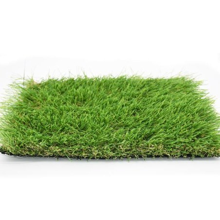 Γκαζον Cameo 38Mm Στοκ Π.Χ 4Μ Newplan