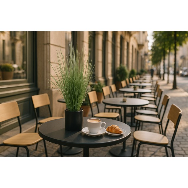 Onion Grass Tree  Np1009_60 Υψος 60Cm Newplan