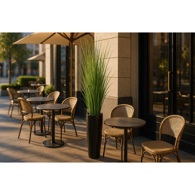 Onion Grass Tree  Np1011_120 Υψος 120Cm Newplan