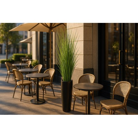 Onion Grass Tree  Np1011_120 Υψος 120Cm Newplan