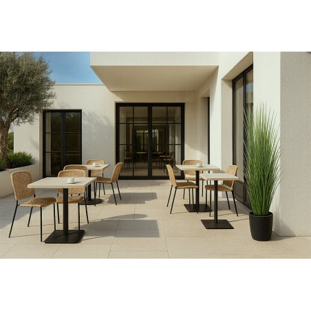 Onion Grass Tree  Np1011_120 Υψος 120Cm Newplan