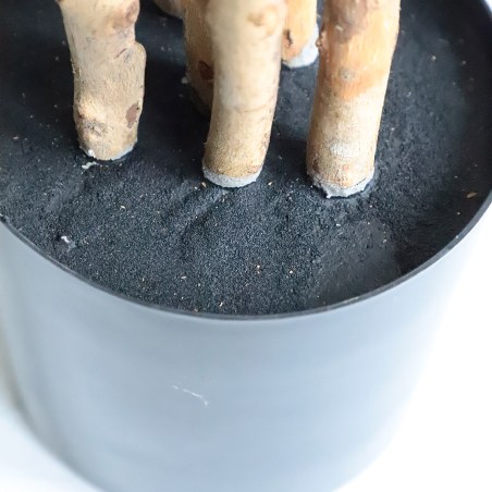 Dracaena  Np_325_180  Υψος 180Cm Newplan