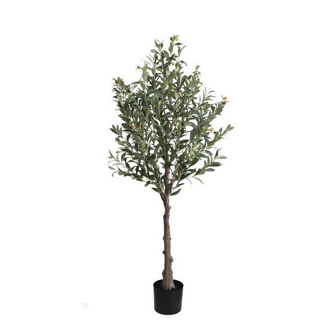 Olive Tree Np439_150  Υψος 150Cm Newplan