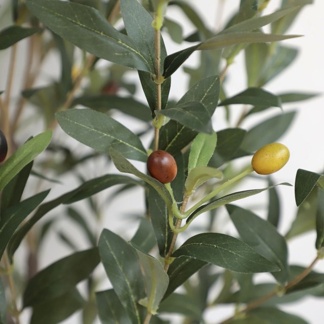 Olive Tree Np439_150  Υψος 150Cm Newplan