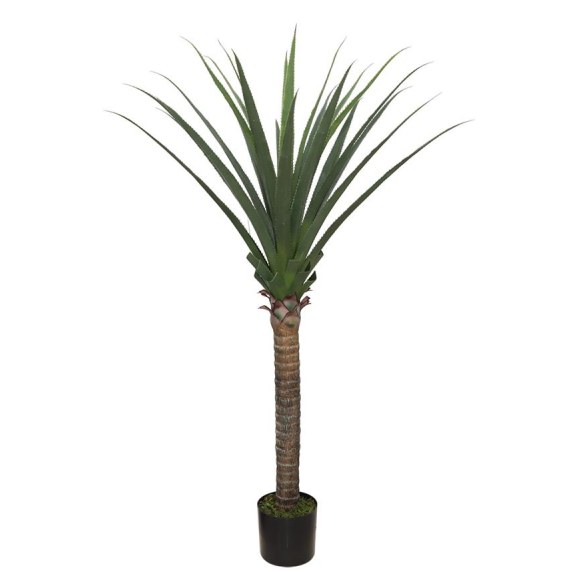 Agave Tree  Np802_160  Υψος 160Cm Newplan