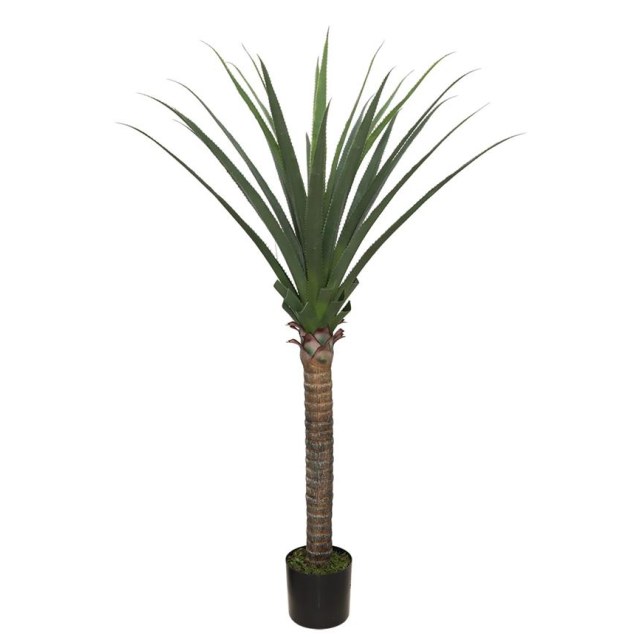Agave Tree  Np802_160  Υψος 160Cm Newplan
