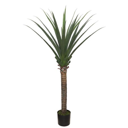 Agave Tree  Np802_160  Υψος 160Cm Newplan