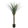 Agave Tree  Np802_160  Υψος 160Cm Newplan