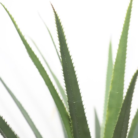 Agave Tree  Np802_160  Υψος 160Cm Newplan