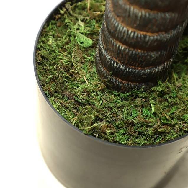 Agave Tree  Np802_160  Υψος 160Cm Newplan