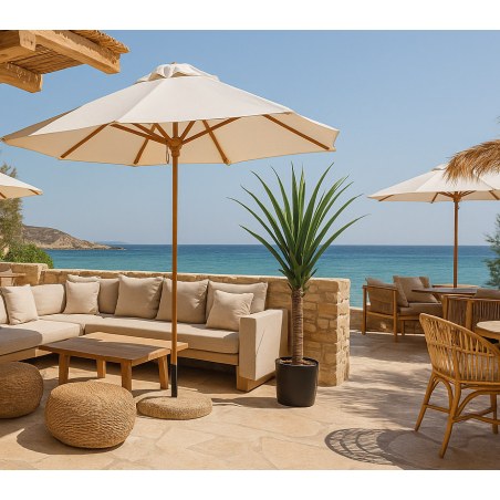 Agave Tree  Np802_160  Υψος 160Cm Newplan