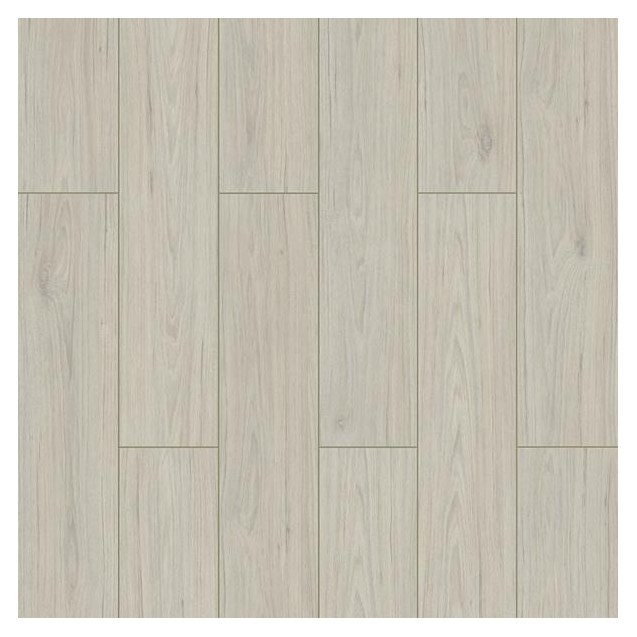 Δαπεδο Laminate  Wings  4V 8Mm 001 Falcon Newplan