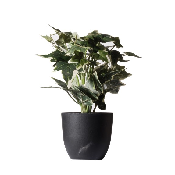 Supergreens Τεχνητό Φυτό Κισσός Πανασέ Πράσινο 30 εκ.