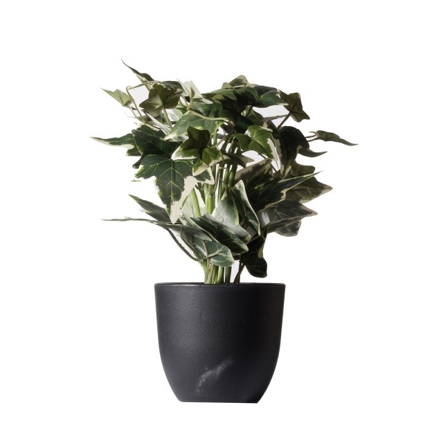 Supergreens Τεχνητό Φυτό Κισσός Πανασέ Πράσινο...