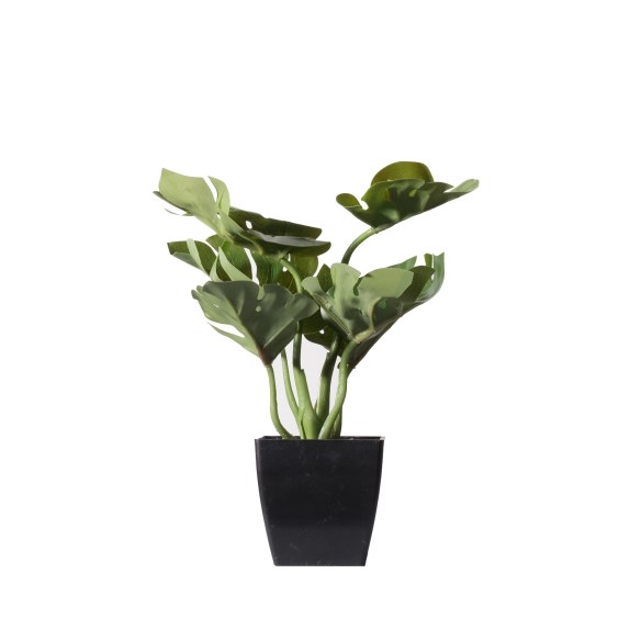 Supergreens Τεχνητό Φυτό Μονστέρα Deliciosa Πράσινο 22 εκ.