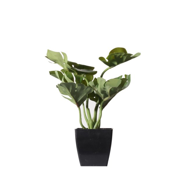 Supergreens Τεχνητό Φυτό Μονστέρα Deliciosa...