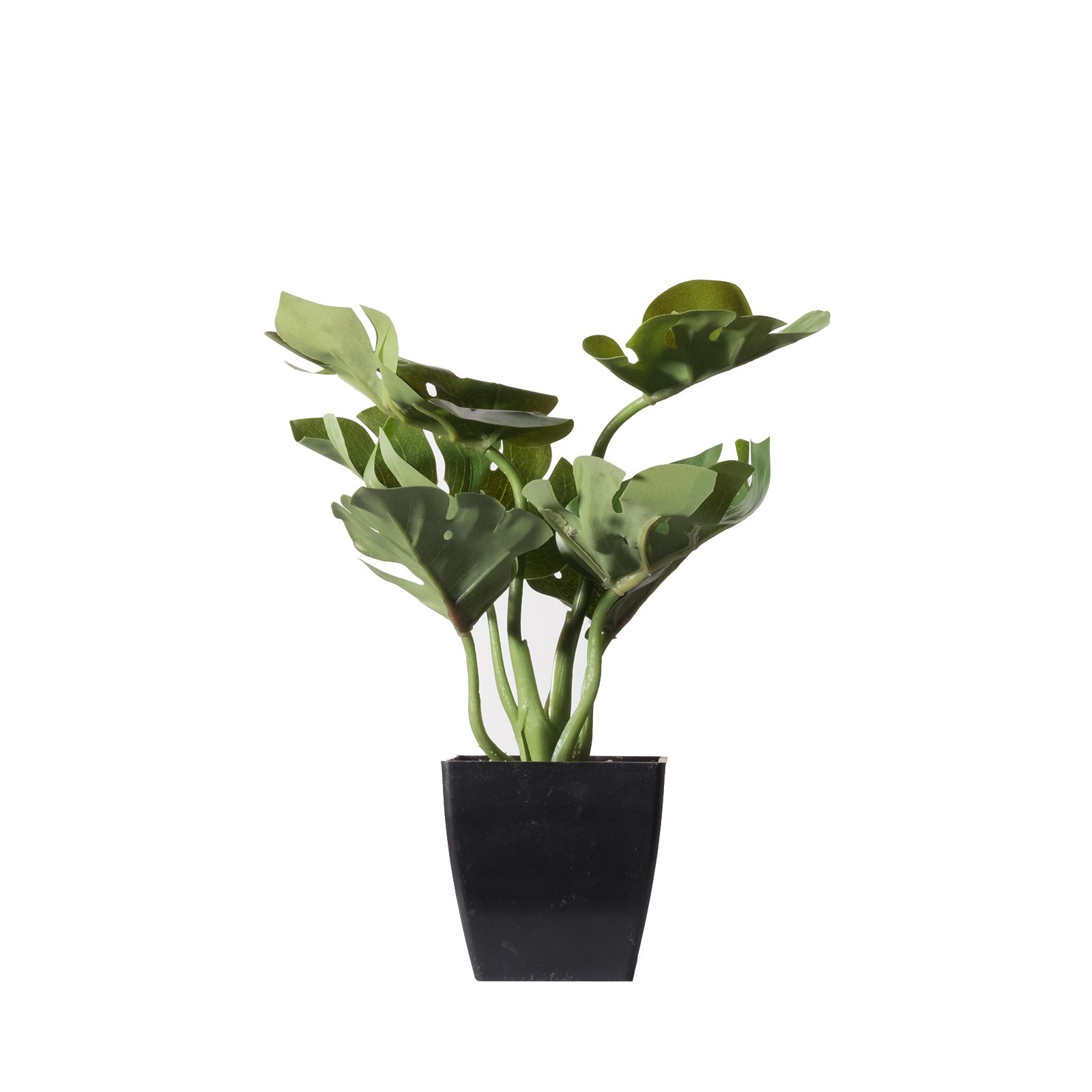 Supergreens Τεχνητό Φυτό Μονστέρα Deliciosa Πράσινο 22 εκ.